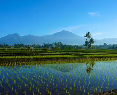 Lombok & Gili Islands